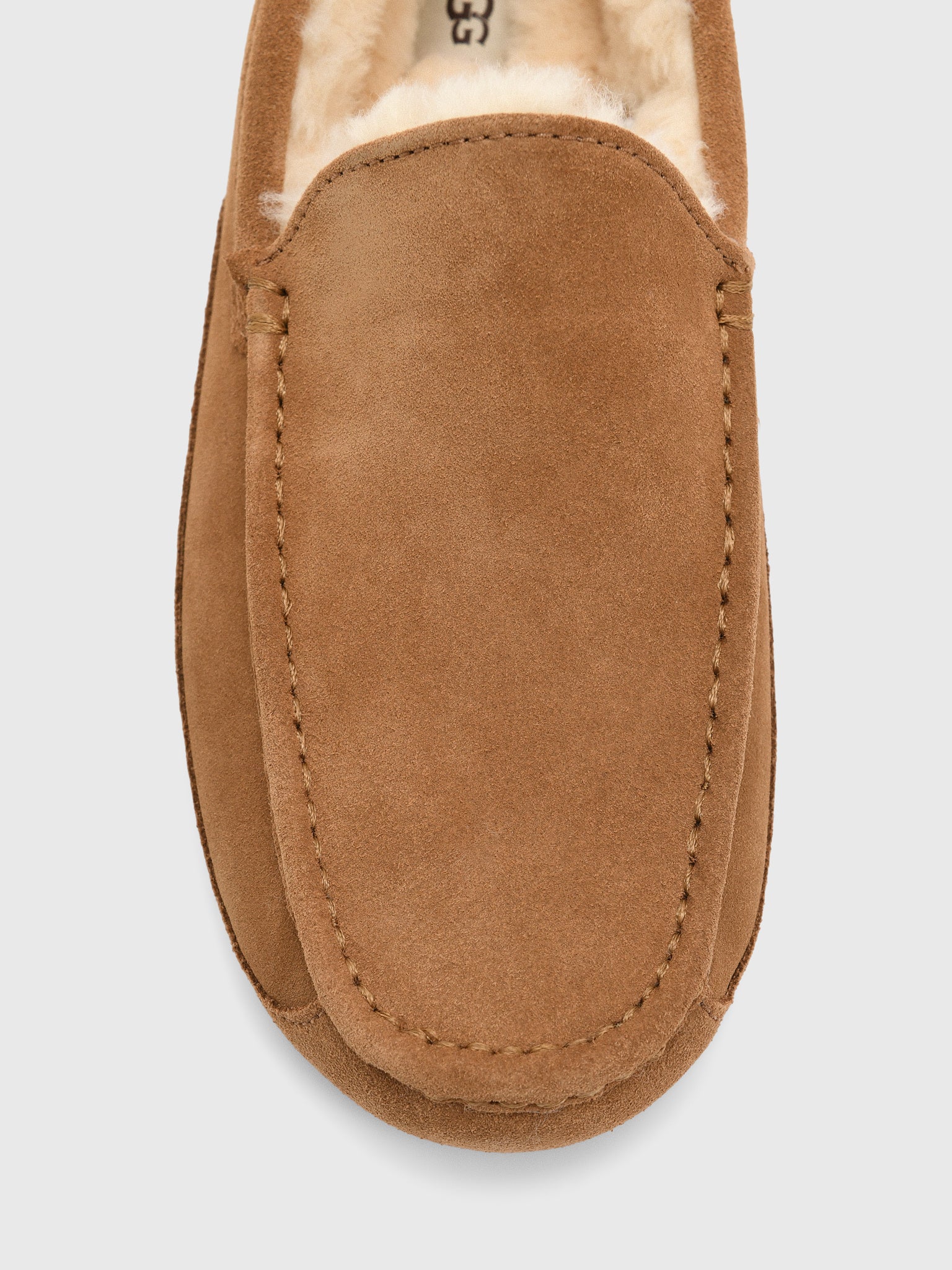 UGG Men's Ascot Slipper