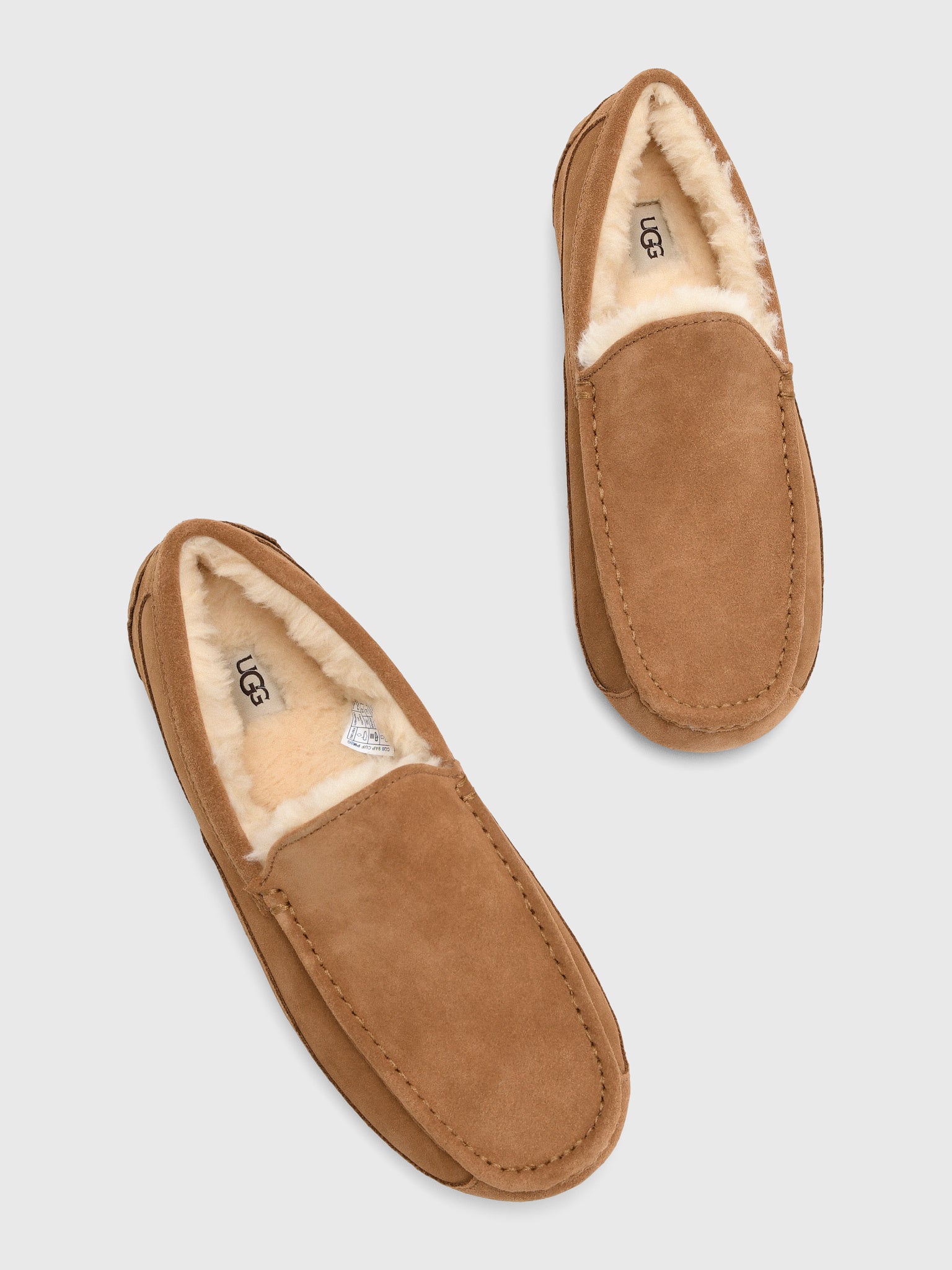 UGG Men's Ascot Slipper