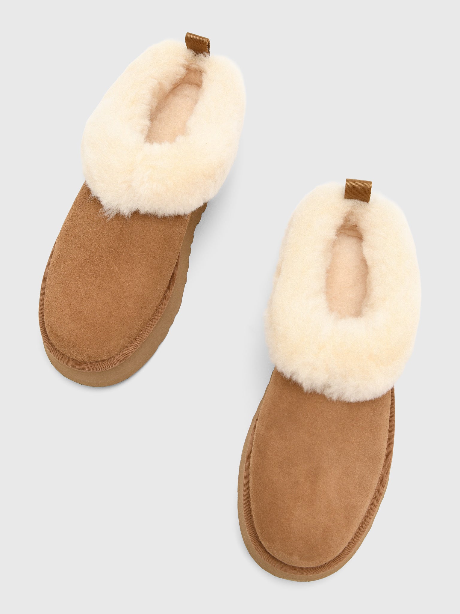 UGG Women's Tazzelle Slipper